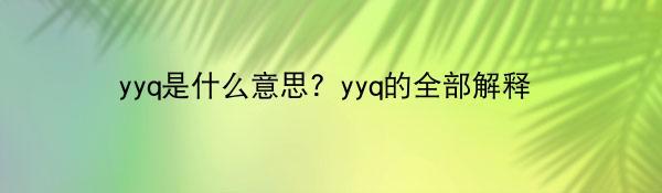 yyq是什么意思？yyq的全部解释