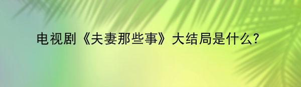 电视剧《夫妻那些事》大结局是什么？