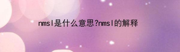 nmsl是什么意思?nmsl的解释