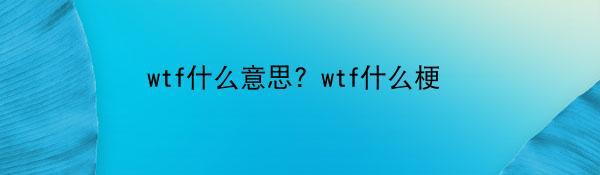 wtf什么意思？wtf什么梗