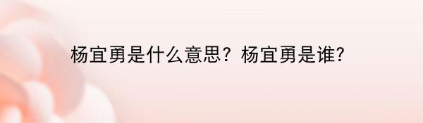 杨宜勇是什么意思? 杨宜勇是谁？