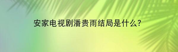 安家电视剧潘贵雨结局是什么？