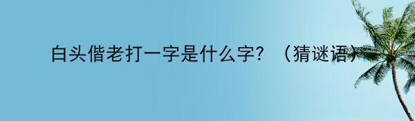 白头偕老打一字是什么字？（猜谜语）