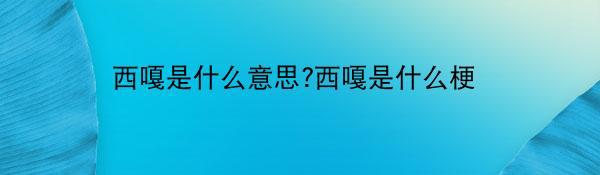 西嘎是什么意思?西嘎是什么梗