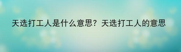 天选打工人是什么意思？天选打工人的意思