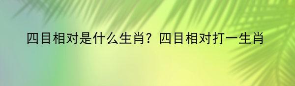 四目相对是什么生肖？四目相对打一生肖