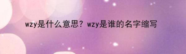 wzy是什么意思? wzy是谁的名字缩写