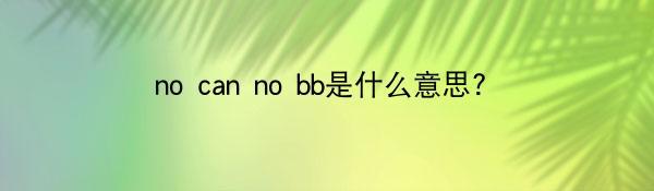 no can no bb是什么意思?