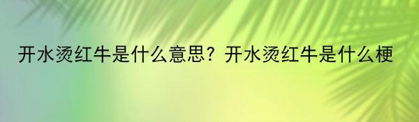 开水烫红牛是什么意思? 开水烫红牛是什么梗