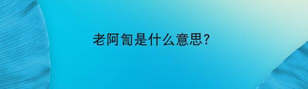 老阿訇是什么意思?