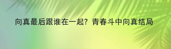 向真最后跟谁在一起？青春斗中向真结局