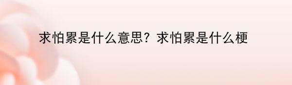 求怕累是什么意思? 求怕累是什么梗