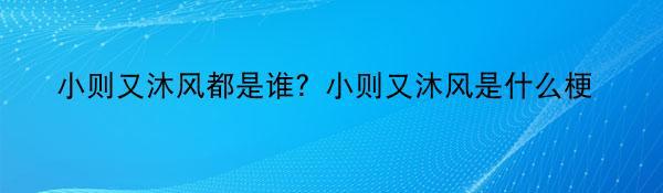 小则又沐风都是谁？小则又沐风是什么梗