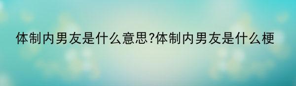 体制内男友是什么意思?体制内男友是什么梗