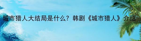 城市猎人大结局是什么？韩剧《城市猎人》介绍