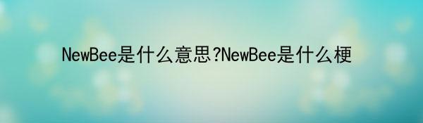 NewBee是什么意思?NewBee是什么梗