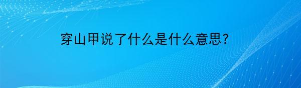 穿山甲说了什么是什么意思?