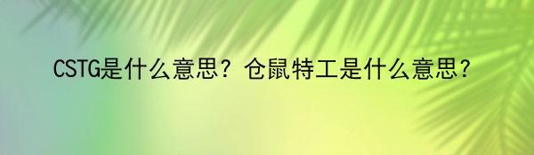 CSTG是什么意思? 仓鼠特工是什么意思？