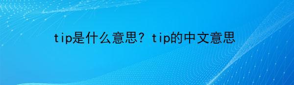 tip是什么意思? tip的中文意思