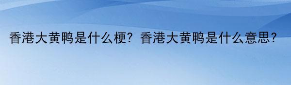 香港大黄鸭是什么梗？香港大黄鸭是什么意思？