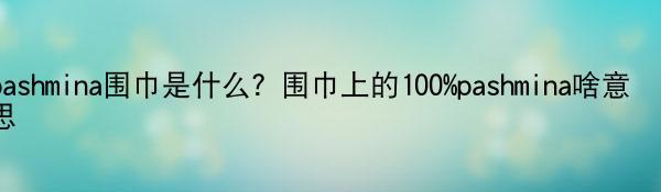 pashmina围巾是什么？围巾上的100%pashmina啥意思