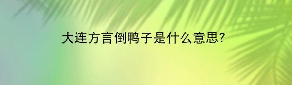 大连方言倒鸭子是什么意思?