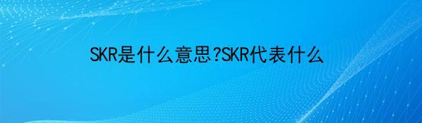 SKR是什么意思?SKR代表什么