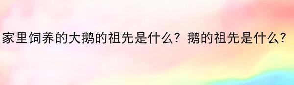 家里饲养的大鹅的祖先是什么？鹅的祖先是什么？