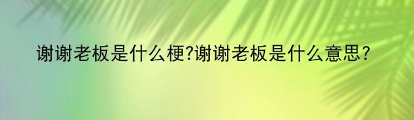 谢谢老板是什么梗?谢谢老板是什么意思?