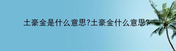 土豪金是什么意思?土豪金什么意思？