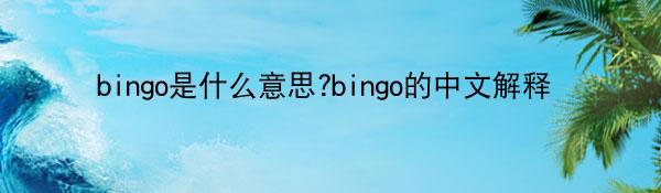 bingo是什么意思?bingo的中文解释