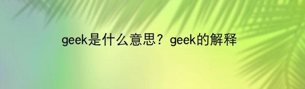 geek是什么意思? geek的解释