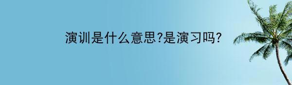 演训是什么意思?是演习吗？