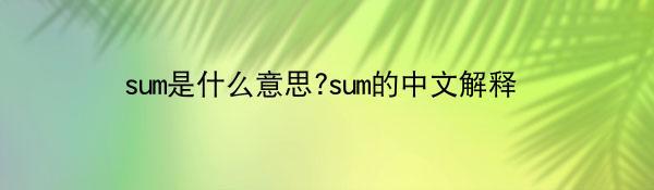 sum是什么意思?sum的中文解释