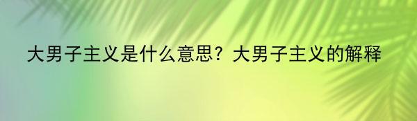 大男子主义是什么意思? 大男子主义的解释