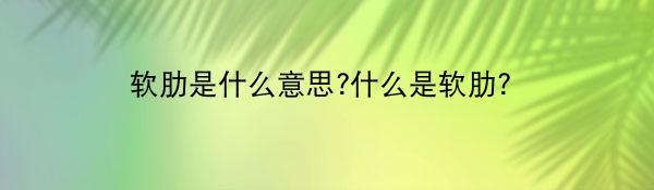 软肋是什么意思?什么是软肋?