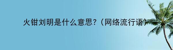 火钳刘明是什么意思?（网络流行语）