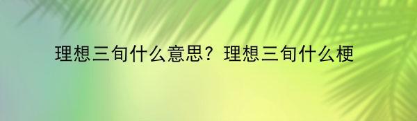 理想三旬什么意思？理想三旬什么梗