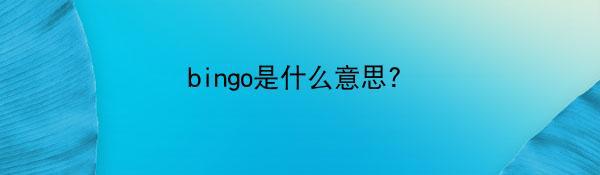 bingo是什么意思?