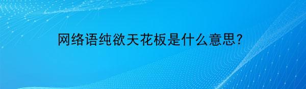 网络语纯欲天花板是什么意思?