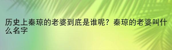 历史上秦琼的老婆到底是谁呢？秦琼的老婆叫什么名字