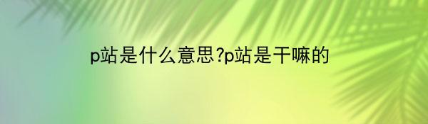 p站是什么意思?p站是干嘛的