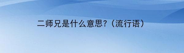 二师兄是什么意思?（流行语）