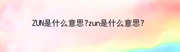 ZUN是什么意思?zun是什么意思?