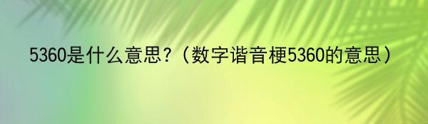 5360是什么意思?（数字谐音梗5360的意思）