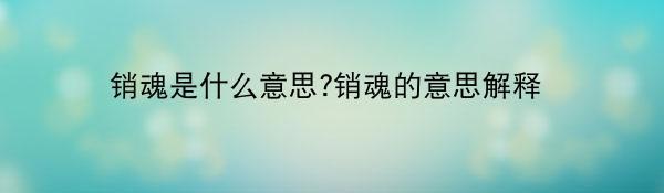 销魂是什么意思?销魂的意思解释