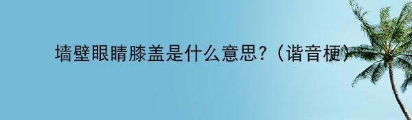 墙壁眼睛膝盖是什么意思?（谐音梗）