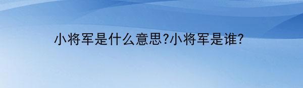 小将军是什么意思?小将军是谁？