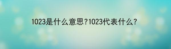 1023是什么意思?1023代表什么？