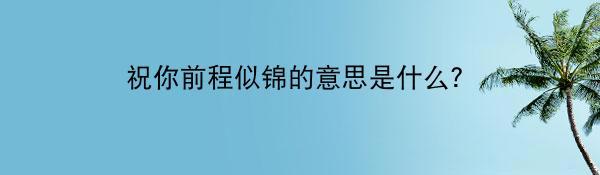 祝你前程似锦的意思是什么？